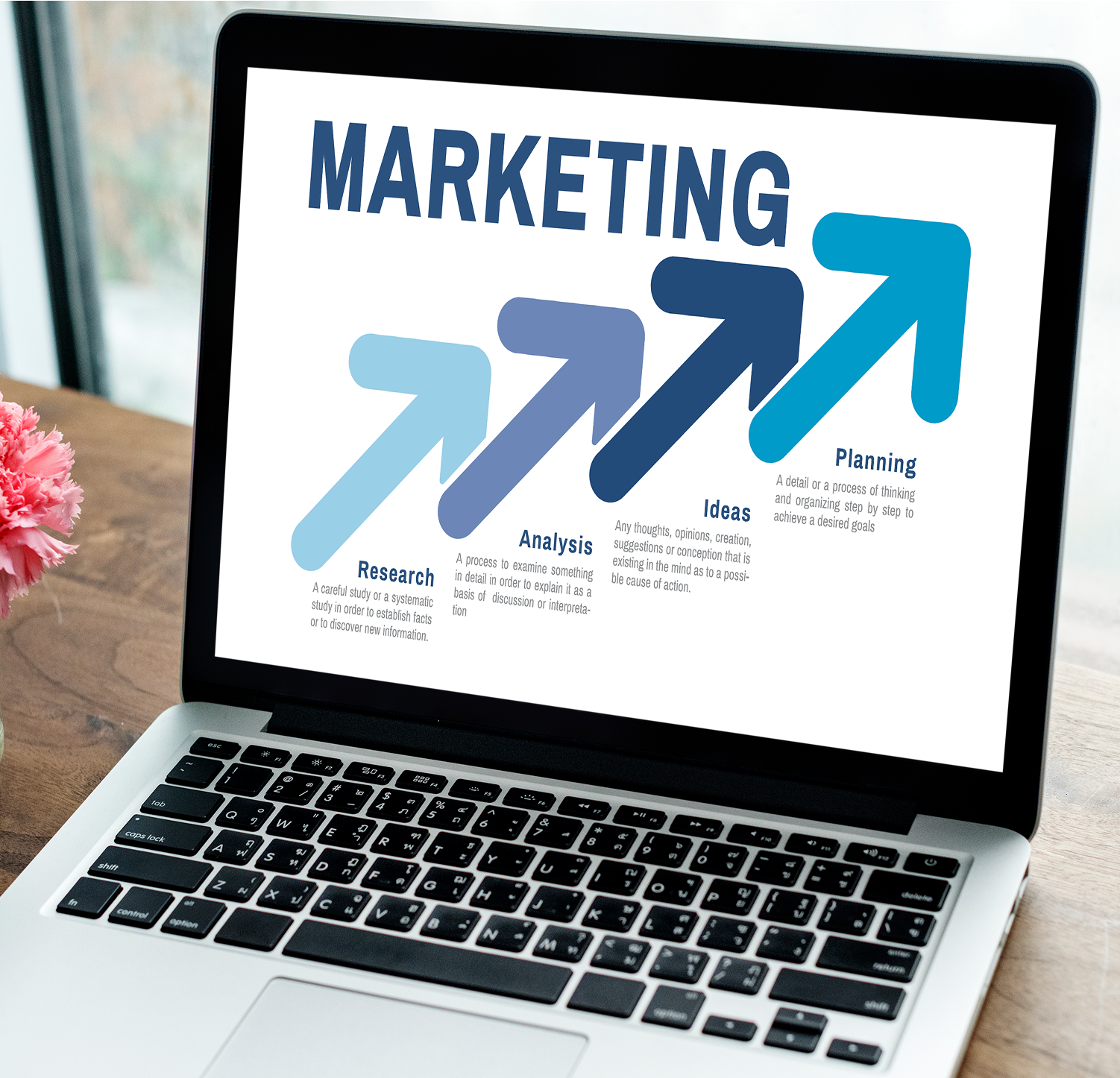 ignitra digital marketing